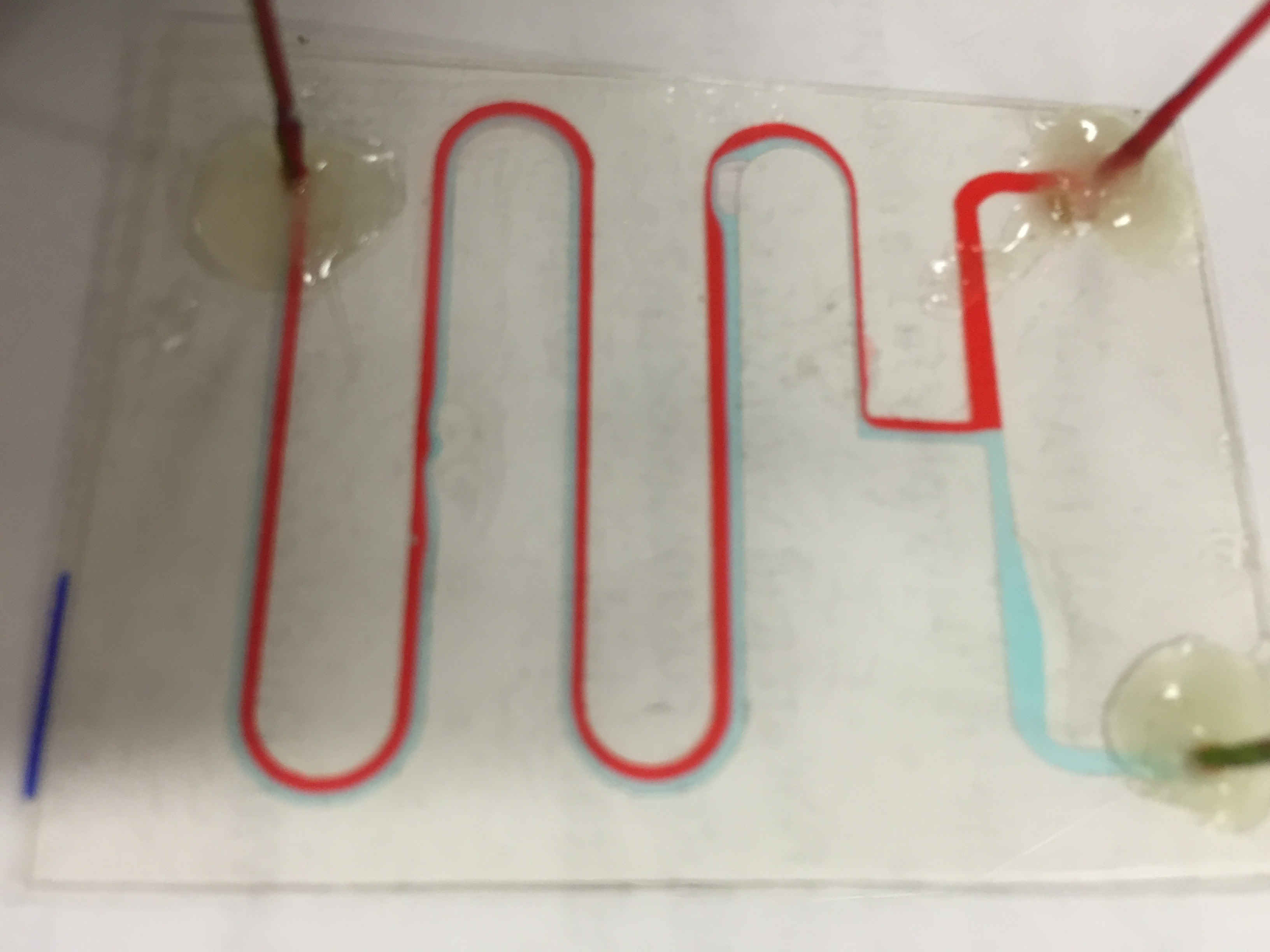 microfluid testing